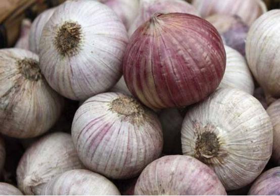 你不知道的大蒜种植方法,北方春季种植的大蒜4月如何管理