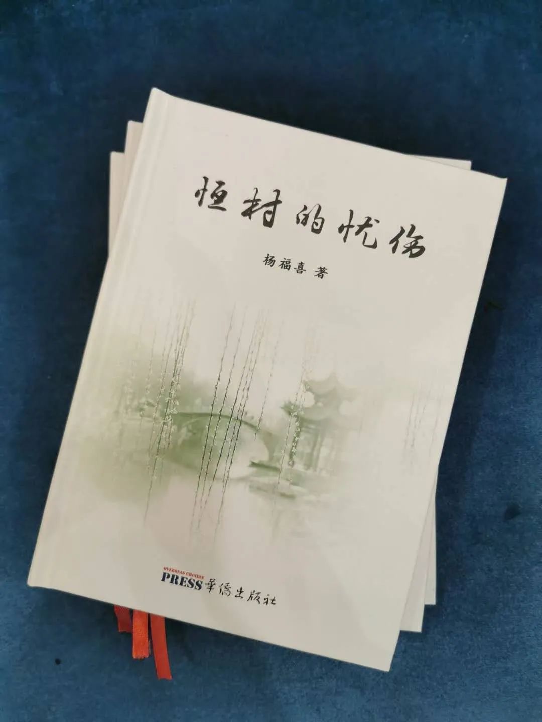 小说杨福喜,杨福喜写的书