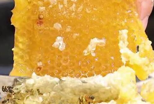 什么样的蜂蜜才是好的蜂蜜真蜂蜜,洋槐蜂蜜油菜蜂蜜荆条蜂蜜的区别