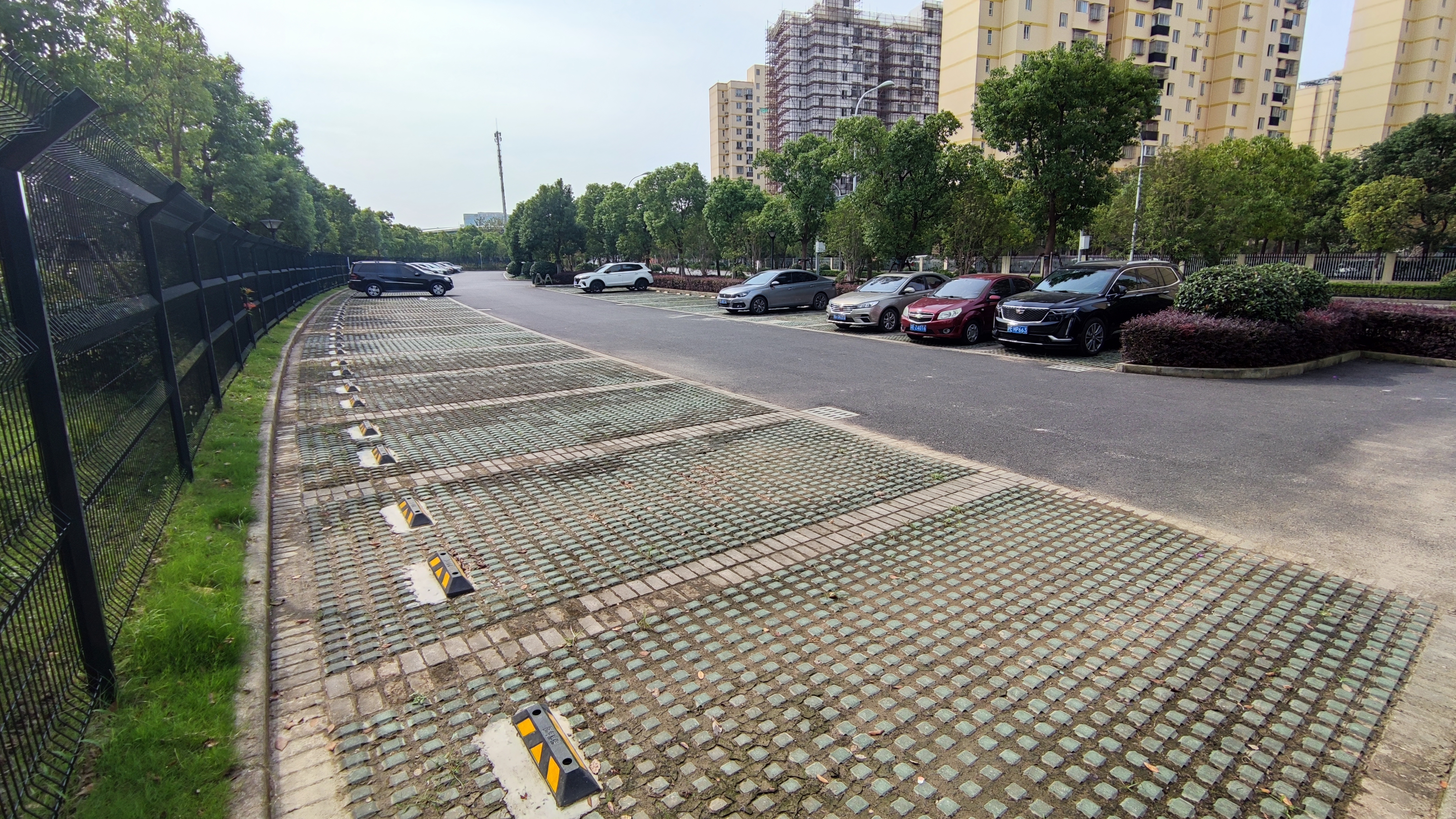 森兰体育公园免费,森兰绿洲公园