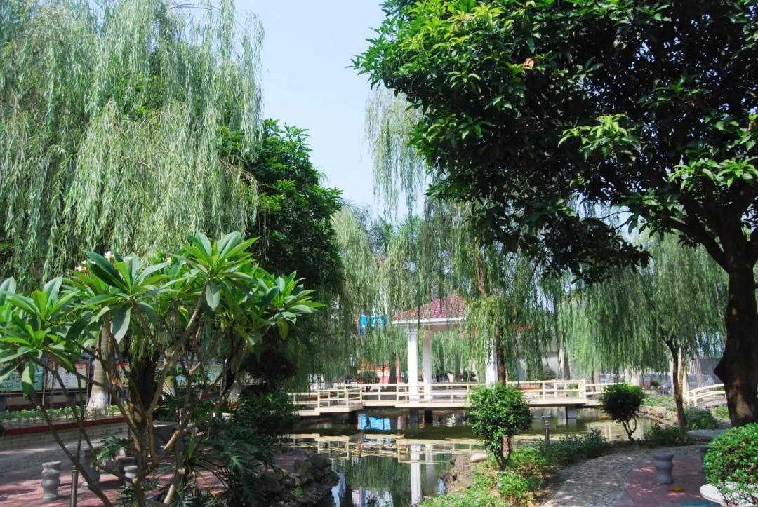 清远盛兴中英文学校介绍地图,清远盛兴中英文学校的标识