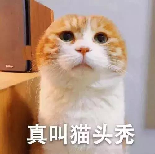 济南人最不想回答的7个问题！求你们别问了...