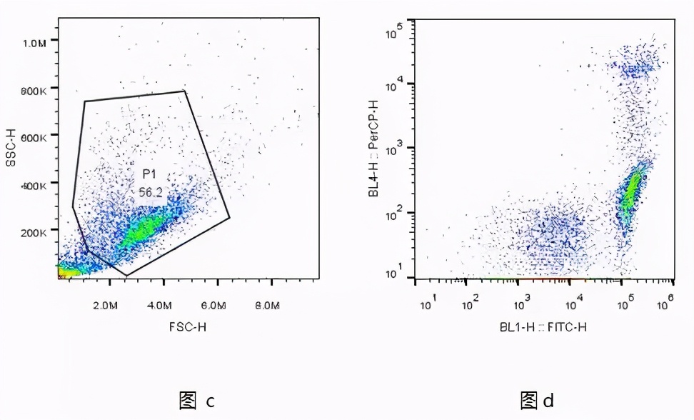 诺唯赞操作视频,诺唯赞细胞操作
