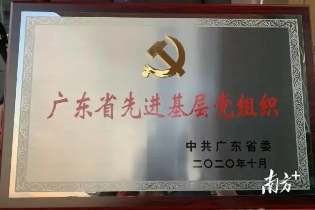 惠州市第三人民医院总规划效果图,医院党建引领下的三级管理体系