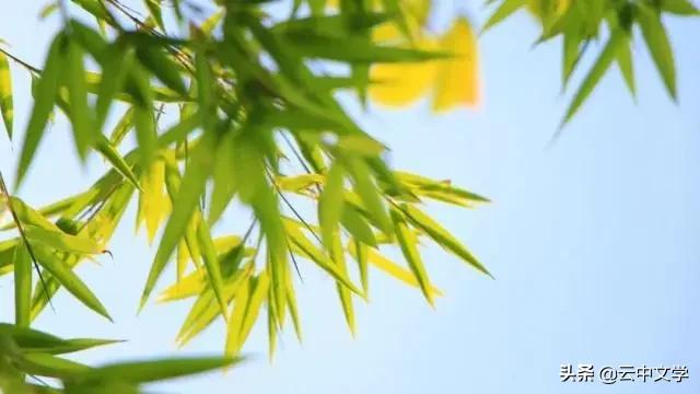 收藏100首夏日诗词带你清凉一夏,100首夏日诗词助你清凉一夏