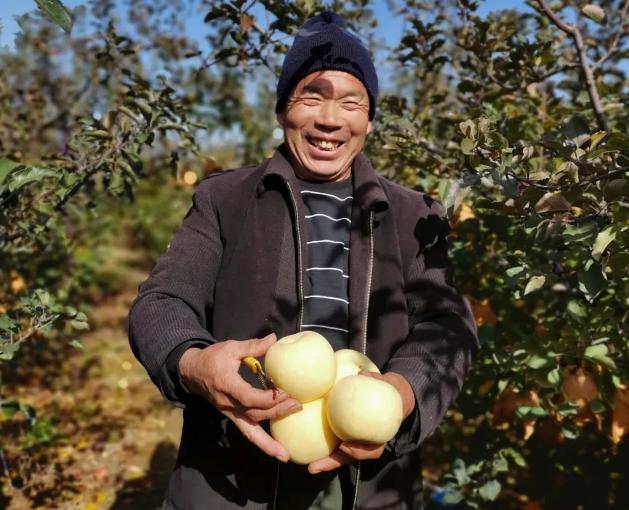 山东奶白桃,山东奶白脆苹果