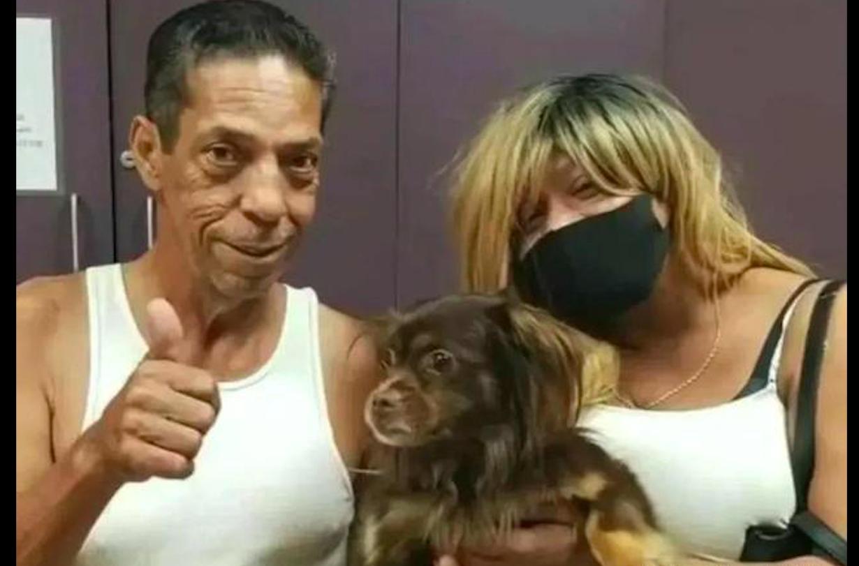 泰迪走丢了主人哭啦,泰迪犬走丢后与主人重逢