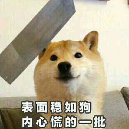 母胎solo19年什么时候可以脱单,母胎solo女怎么能快速脱单