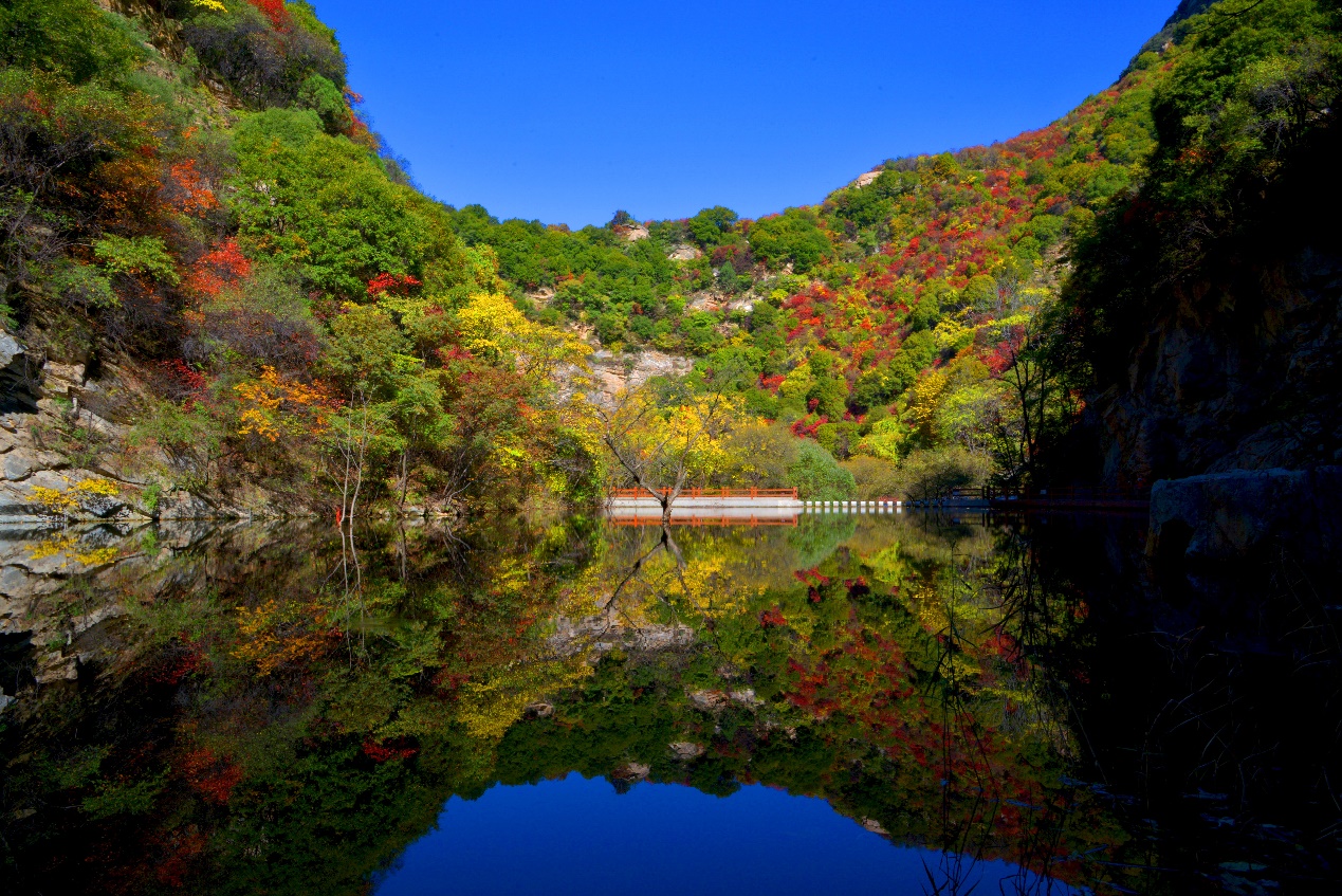 陕西省少华山县红叶节,少华山红叶11月中旬