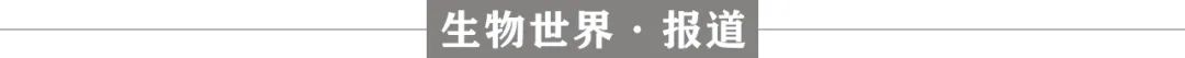 因致癌风险，蓝鸟生物又一个慢病毒基因治疗临床试验暂停