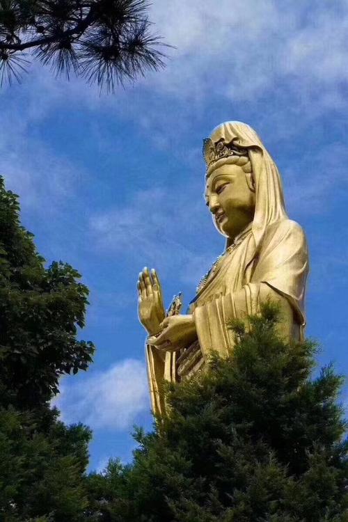 浙江舟山的人怎么样,舟山人为什么要住在岛上