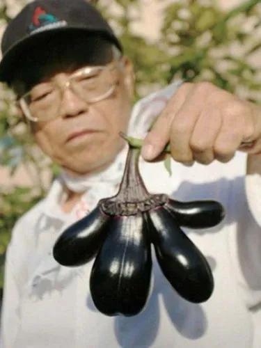 农夫山泉广告我们不生产水,农夫山泉我们不生产水广告原版