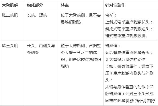如何用哑铃快速锻炼手臂肌肉,如何用哑铃练手臂动作图解