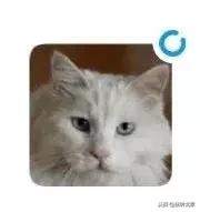 微信变了,微信出了新的功能怎么设置