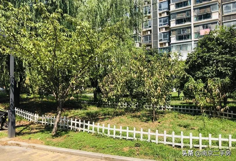 2019年以前的老破小学区房,破旧学区房逆袭70平变双卫住六人