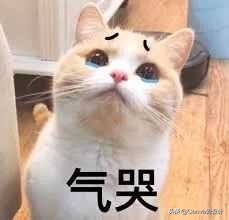 我花了350块，终于搞明白了某宝50块Logo背后的套路