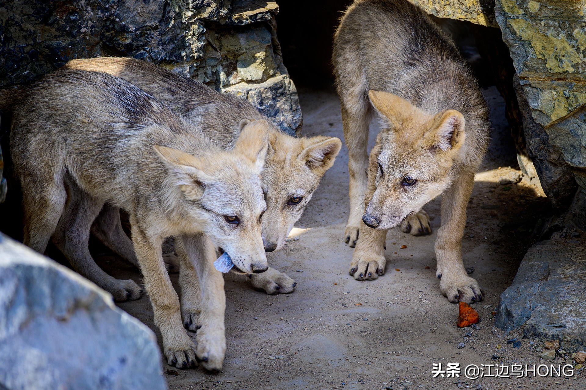 尼康z50双头套机价格,尼康z套机最低价7849