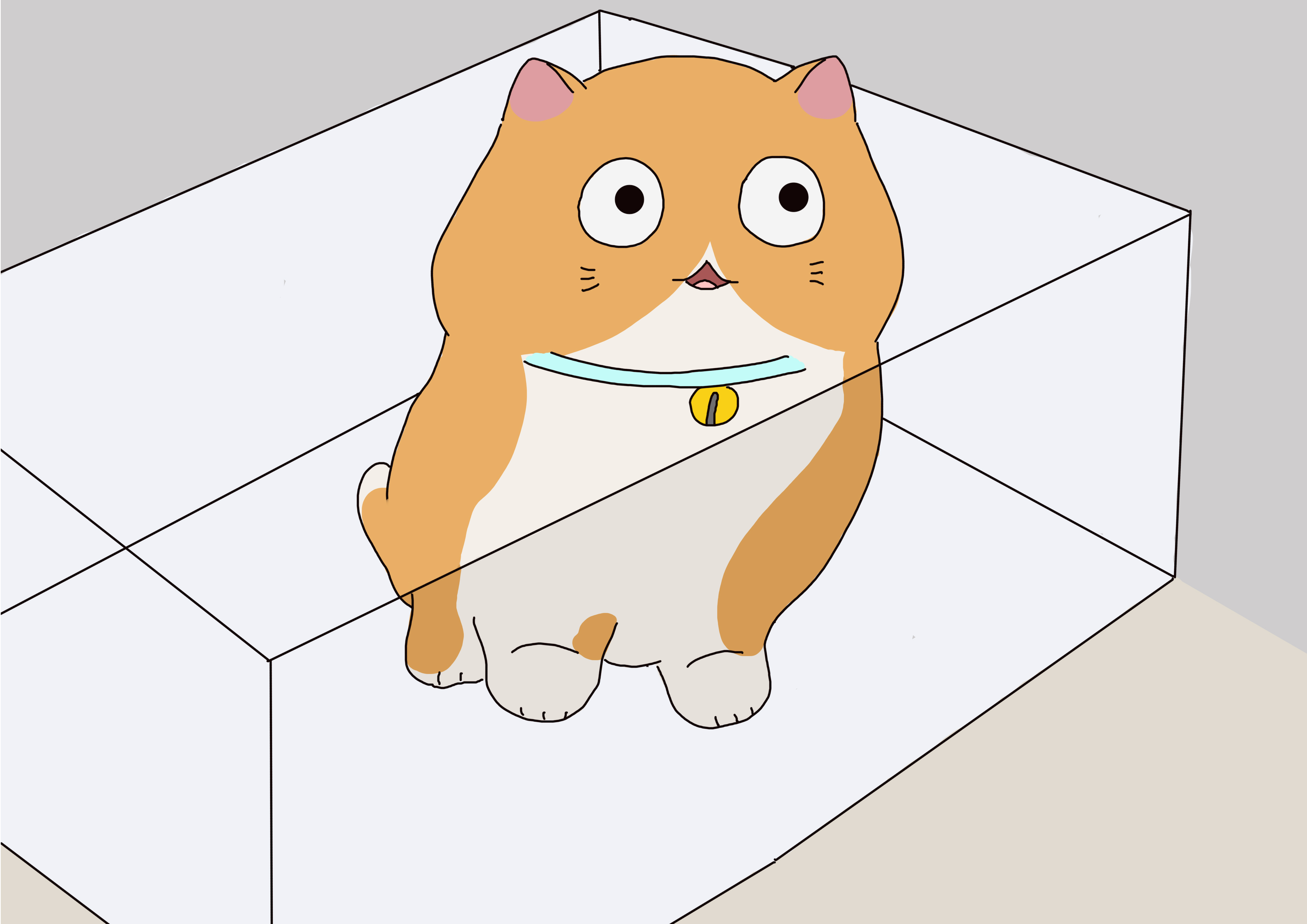 成年猫与幼猫的性格差异,幼猫多大可以很清楚的分辨矮脚