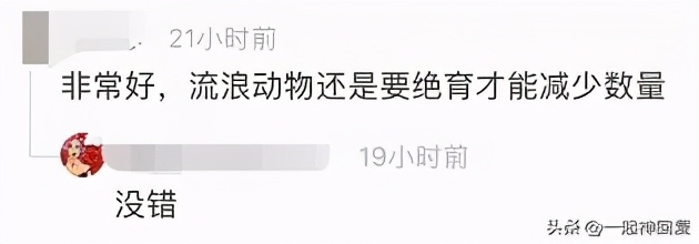 绝育猫的蛋蛋怎么处理,绝育后的猫蛋蛋怎么处理