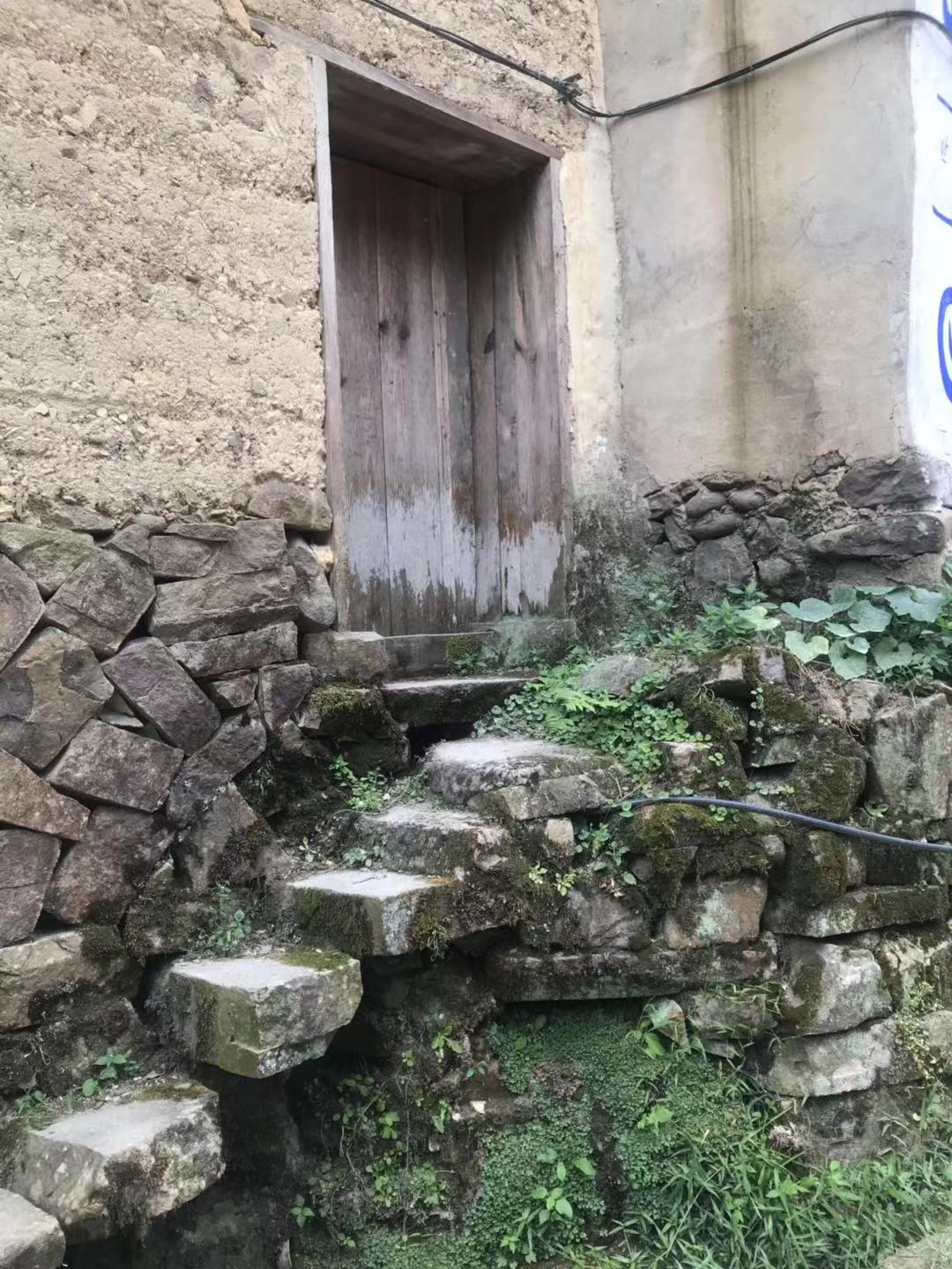 红曲制酒始于朱丹溪