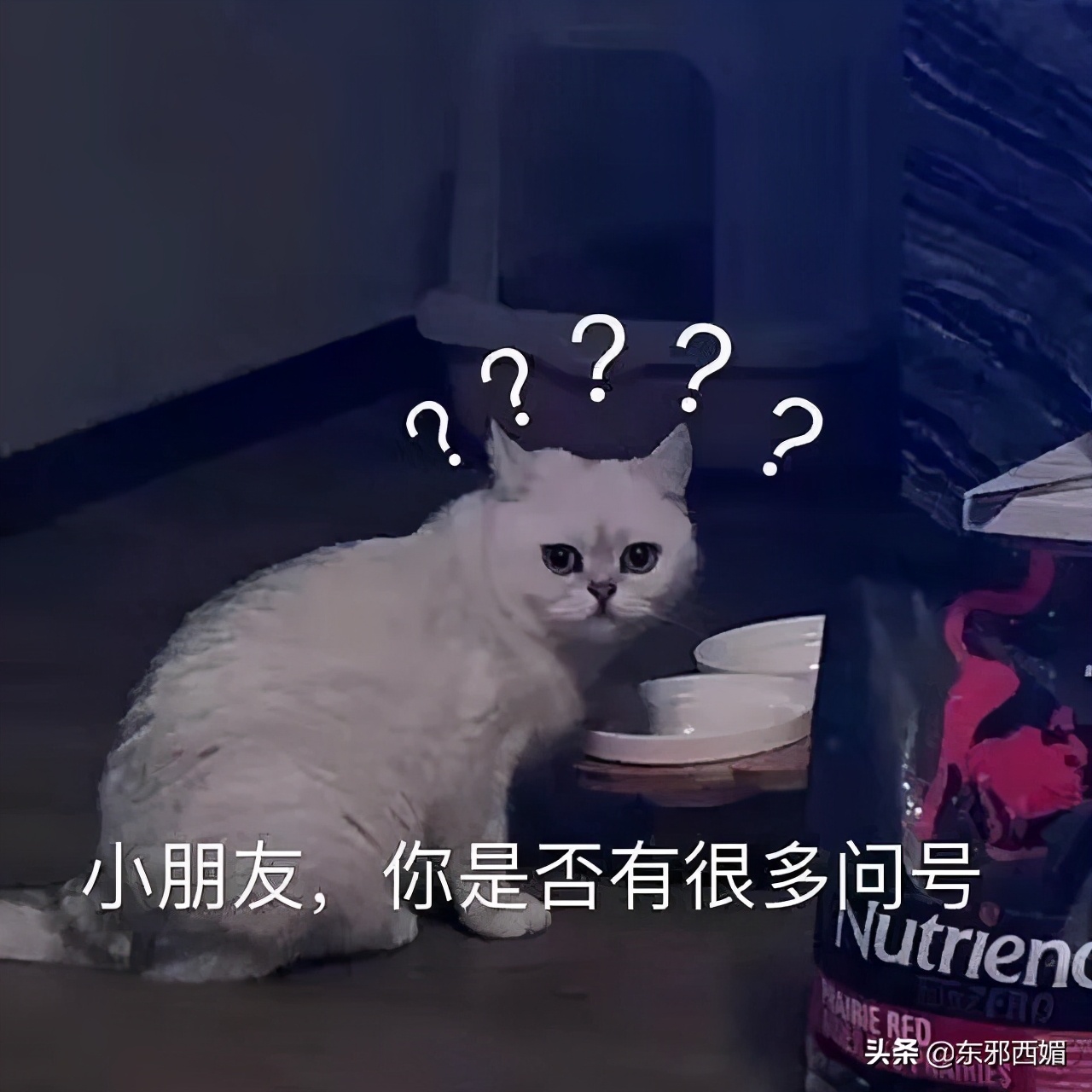 夜店牵手女网红，他也人设崩塌了？