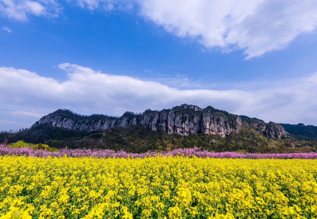 台州藏在深山里的世外桃源,台州家乡春天的美景