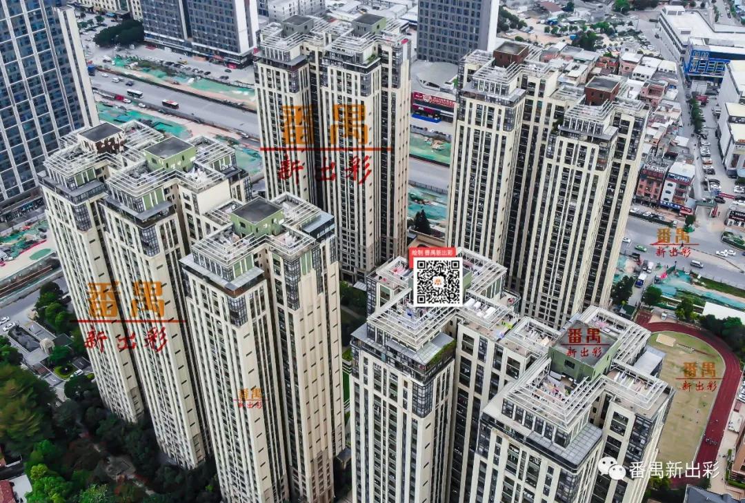 凭什么成为火爆全网的网红城市,番禺万博板块有什么盘