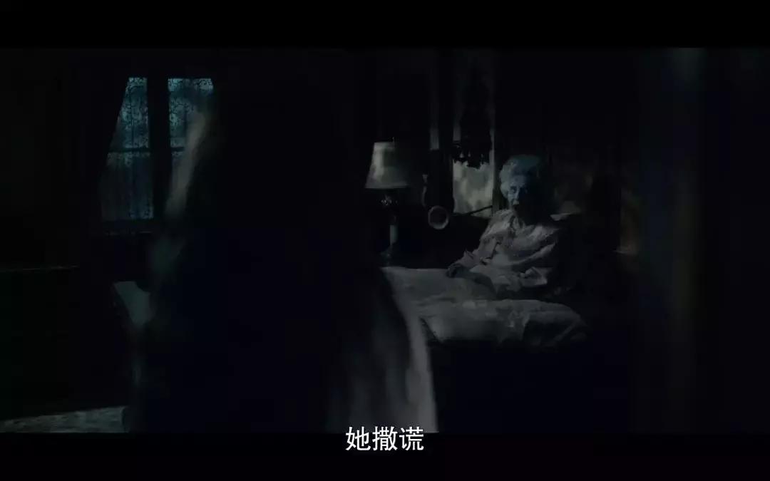 豆瓣评分9.5以上的电影惊悚片国语,豆瓣8.9分惊悚美剧