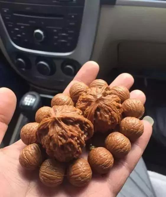 美国黑珍珠战机,美国黑战机