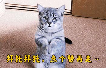 钃濇繁璧勬湰闆嗗洟,钃濇繁璧勬湰
