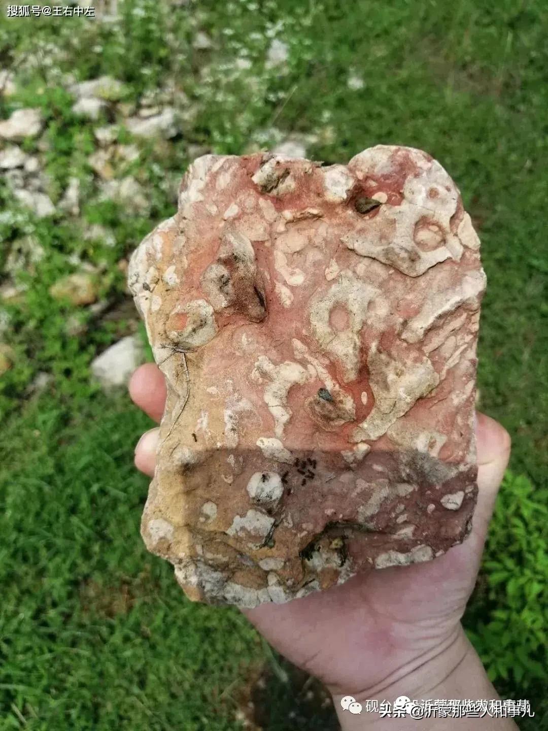 米芾临沂使君帖书法赏析,米芾临沂使君帖临写