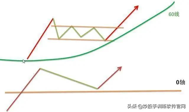像乌龟一样趴着炒股,像麻雀一样的股票