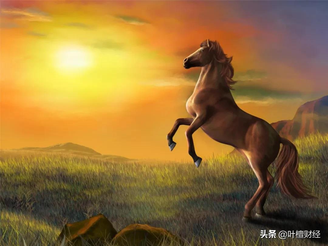 st华仪为什么披星戴帽,主动戴帽