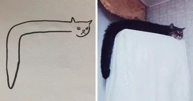猫咪巴士改装,猫巴士是什么梗