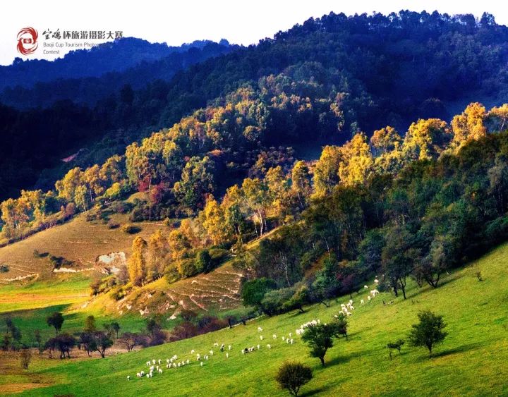 有一种生活叫做宝鸡,在宝鸡生活的真实感受