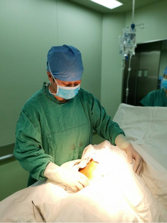 向荣耀的劳动妇女致敬,向妇幼致敬的女职工