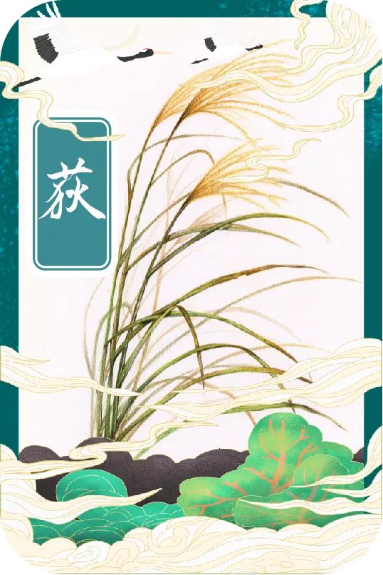 「手绘湖州」小满节气，一起揭开湖州古称“菰城”背后的玄机