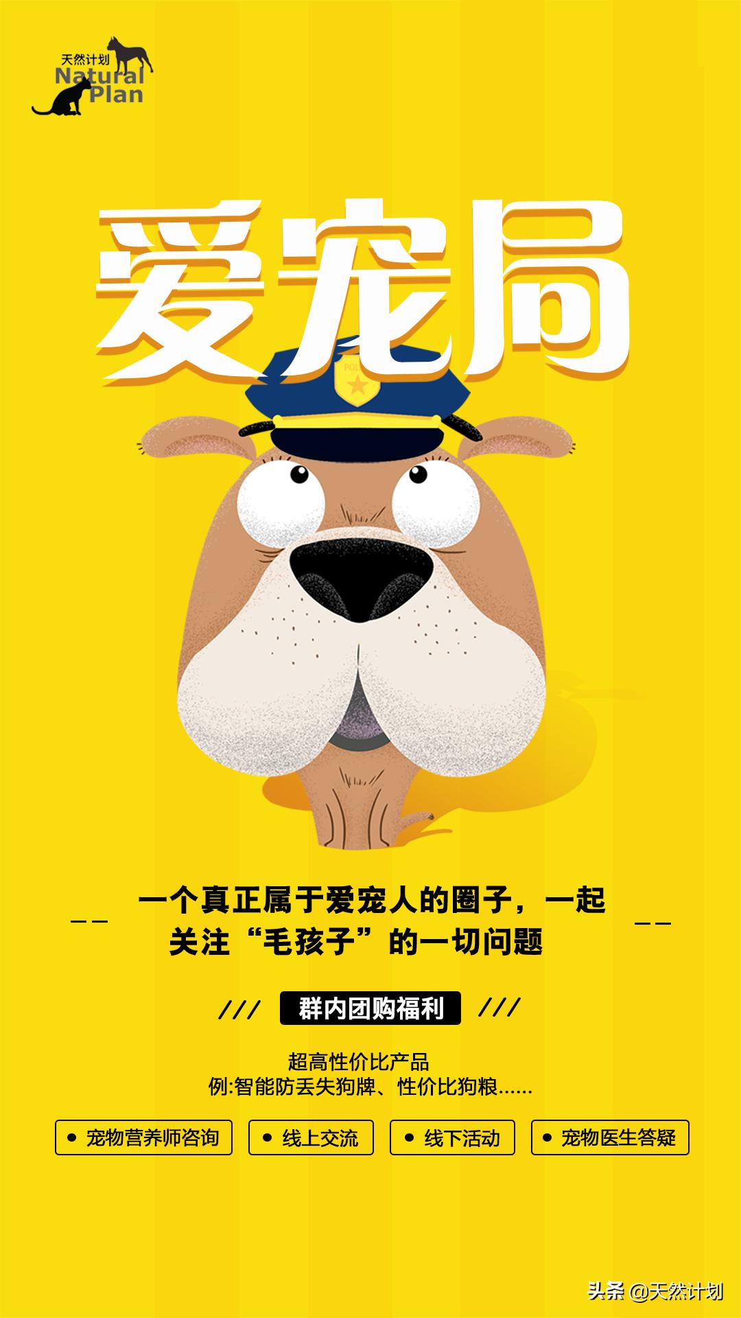 宠物得癌症吃什么营养膏,宠物癌症