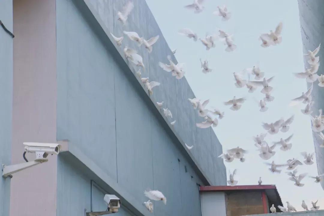 天津普通本科的大学,天津普通高校多少所大学