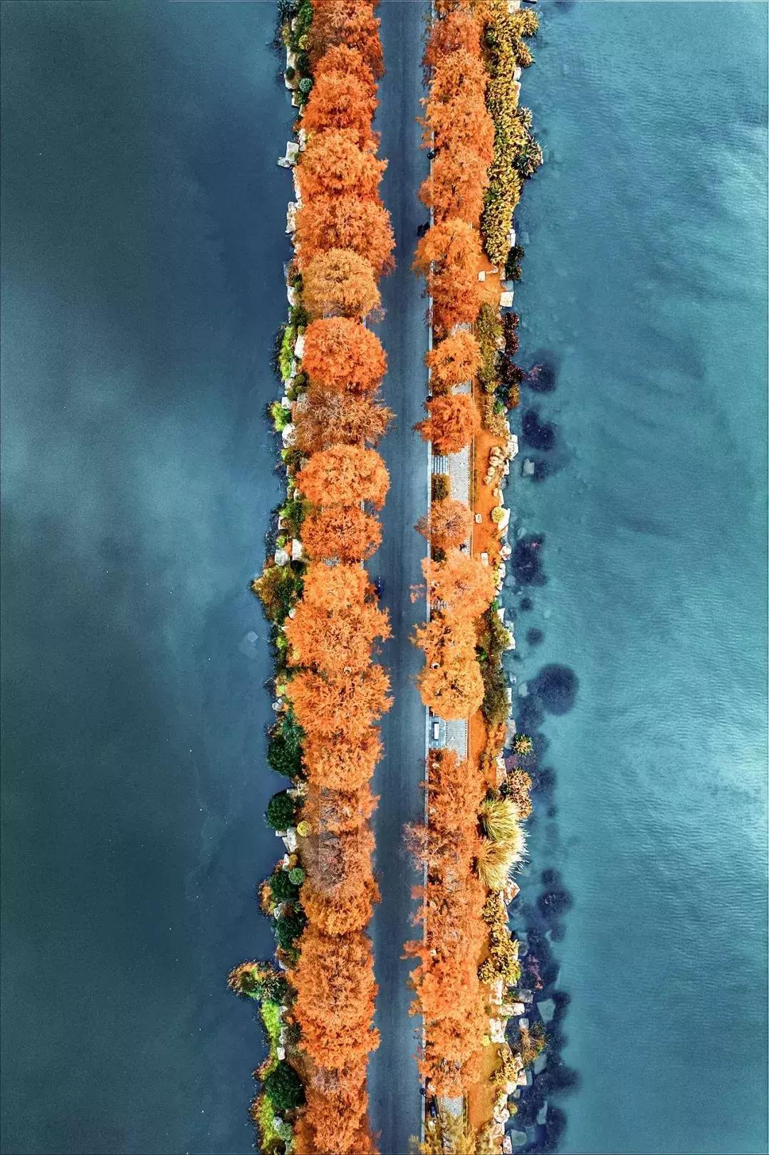 武汉刷屏了,武汉刷屏