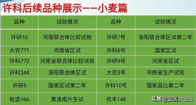 小麦高产产业链,三大绿色优质小麦