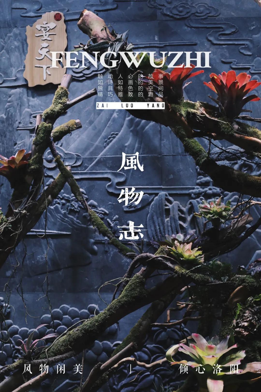 90后董事长年会视频,90年后董事长