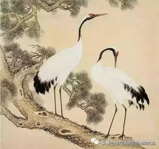 清宫鸟谱,清宫秘传鸟谱大全