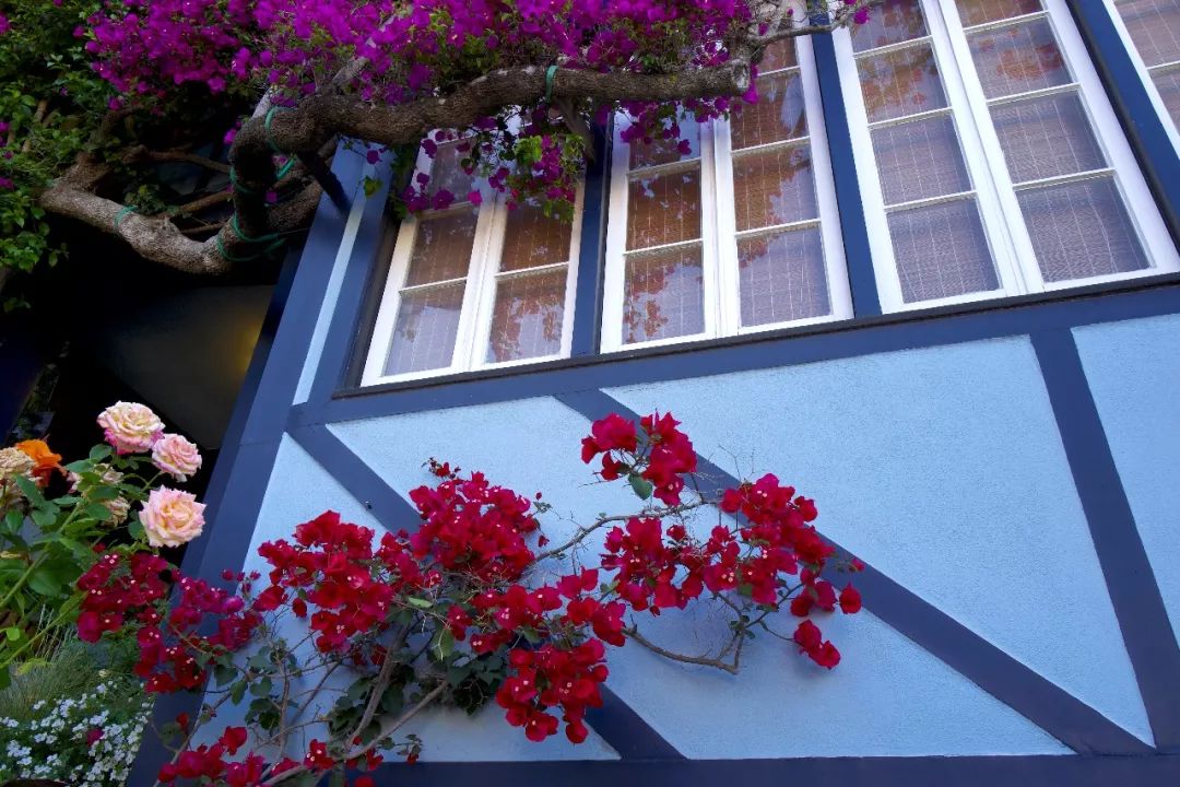 擎怀｜于美利坚告别“6”的罗曼蒂克