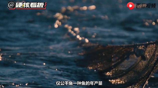 小辣鱼是什么,袋装小辣鱼视频