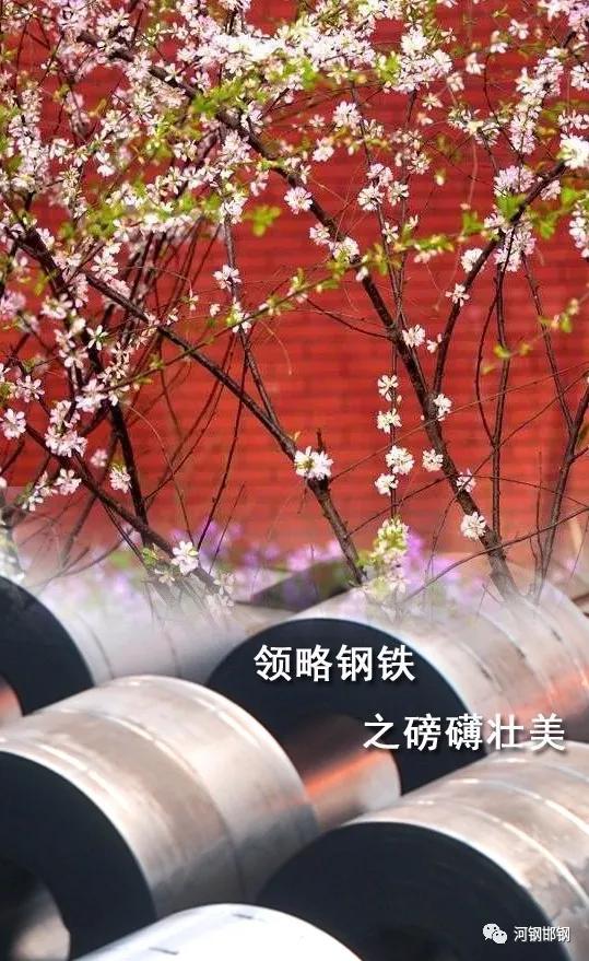 娌抽挗閭挗閾佽矾,娌抽挗閭挗楂樼倝