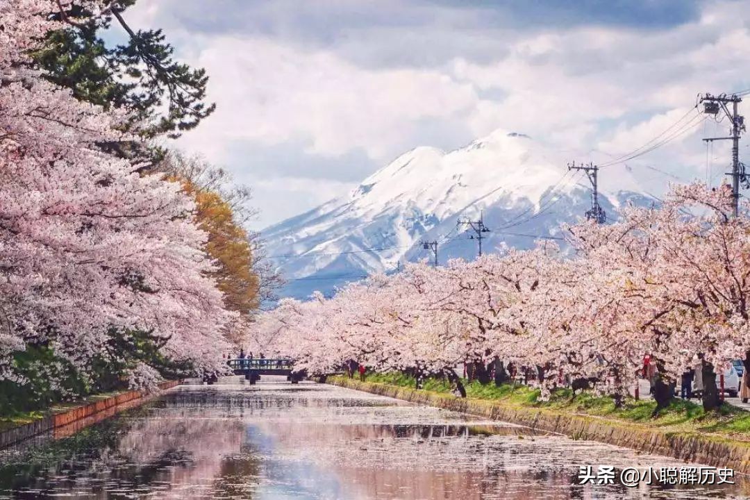 日本侵华时期日本国内生活现状,日本汉方在日本的现状