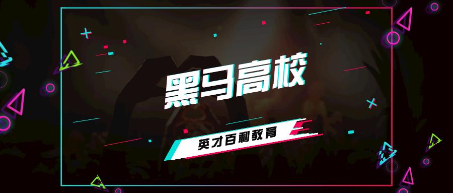 工业园区黑马学校,浙江黑马大学