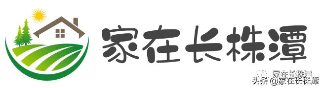 看了它，你会觉得望城原来这么牛