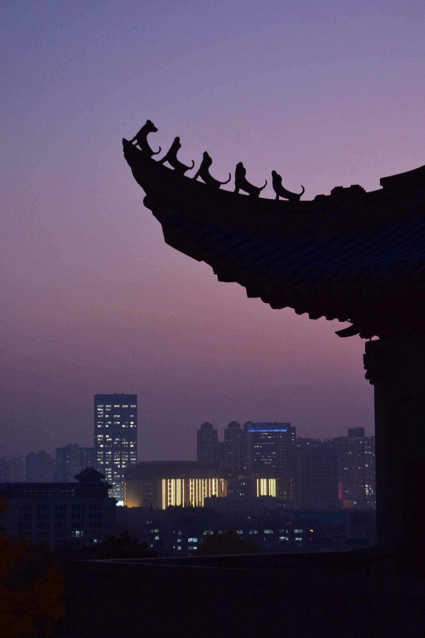 武汉开学震动画面,夏季的武汉大学风景
